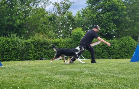 GHSV Bönnigheim Agility