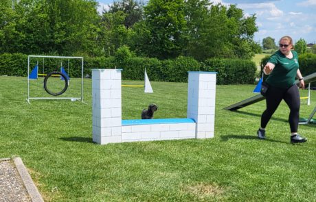 GHSV Bönnigheim Agility