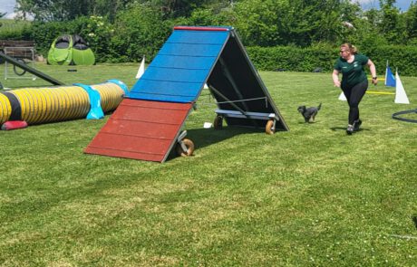 GHSV Bönnigheim Agility