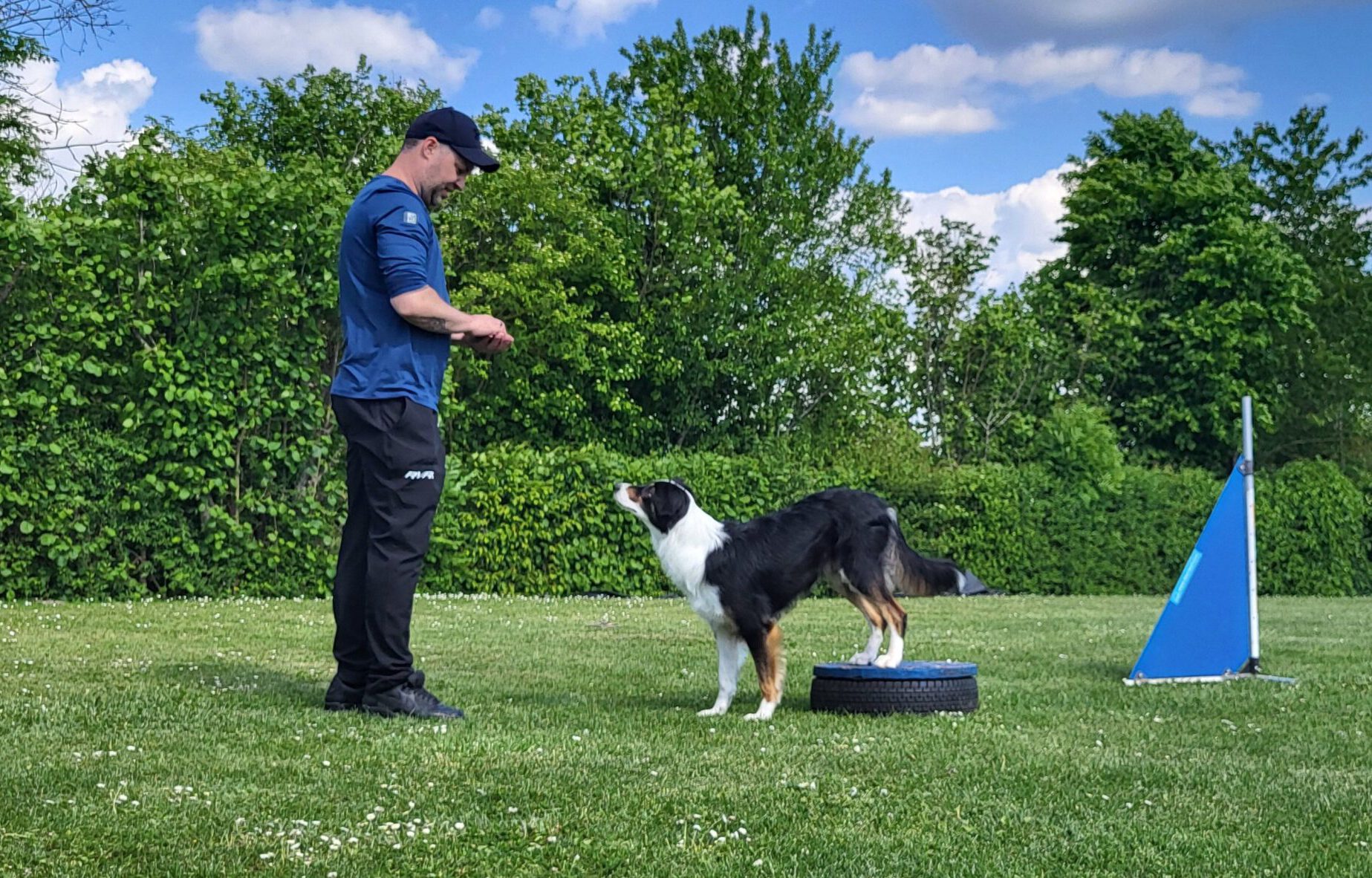 GHSV Bönnigheim Agility