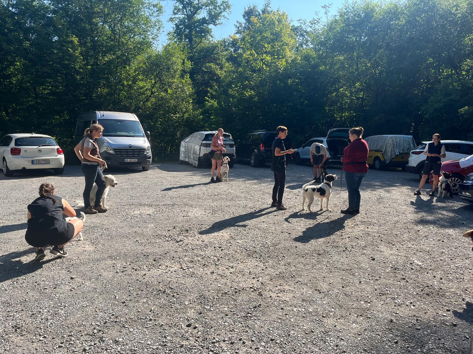 Menschengruppe mit Hunden auf dem Parkplatz