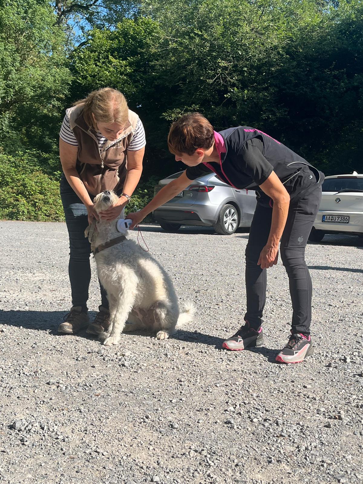 Trainer, Hundeführer und Hund beim Chip ablesen