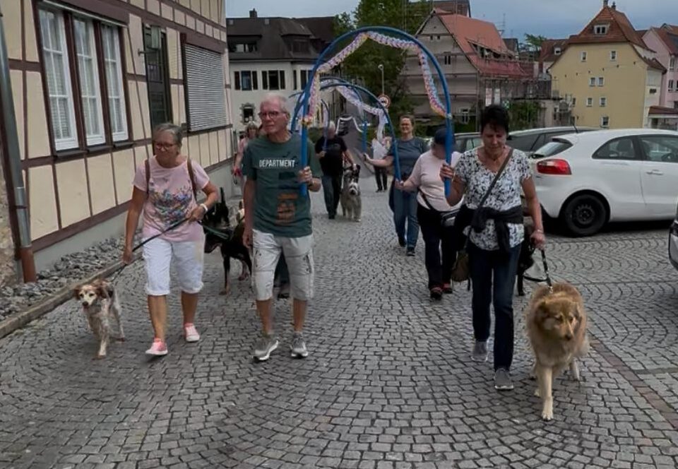 Flotte Pfoten Spalierstehen Hochzeit Nicole und Ralf