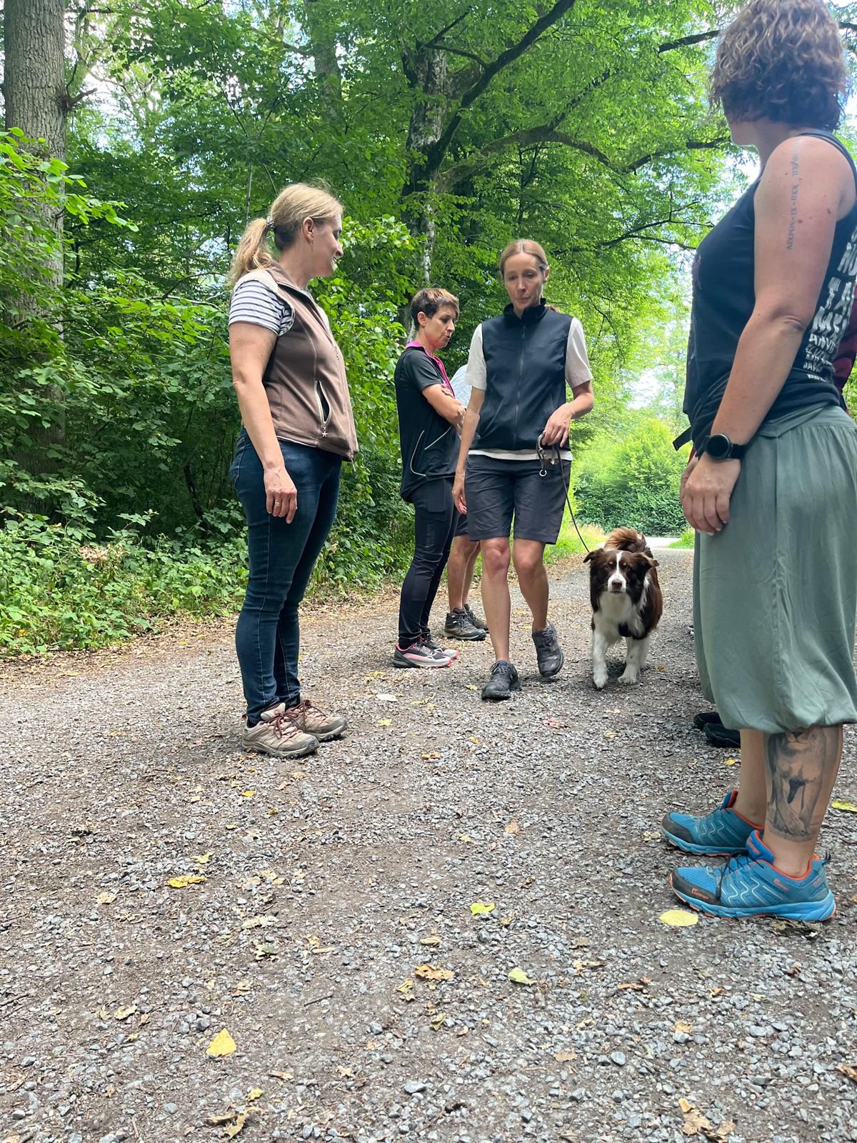 9746d4c4-c982-416e-b5b0-dce1da686195