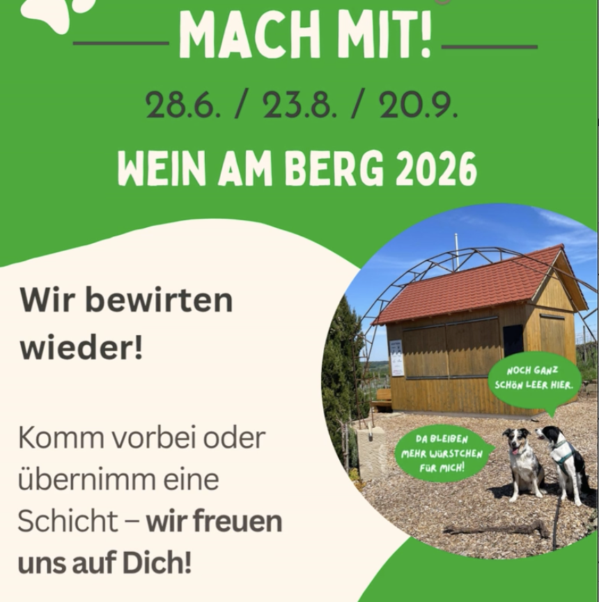 Wein am Berg 2026 am 28.06, 23.08, 20.09