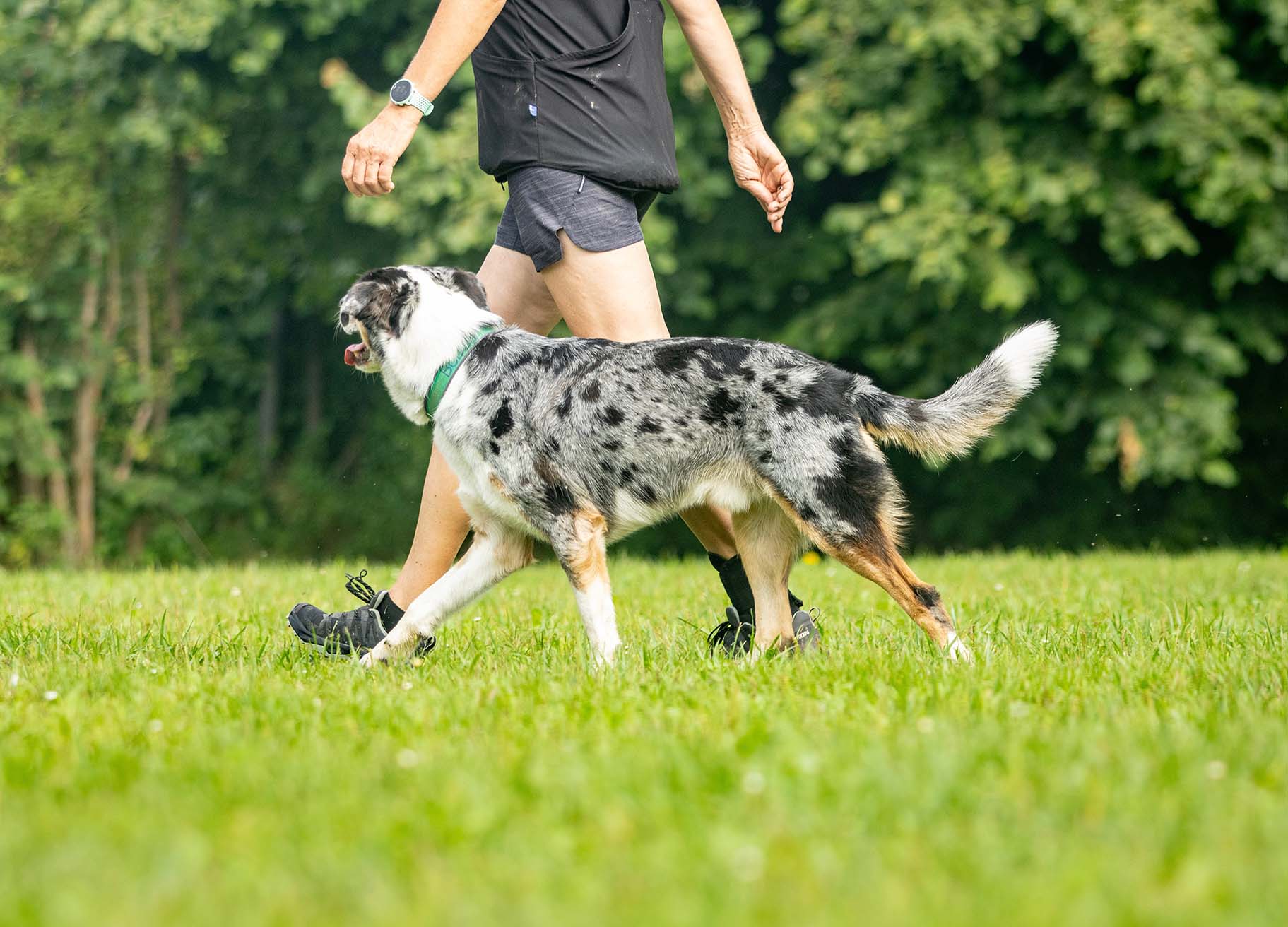 GHSV Hero Basistraining